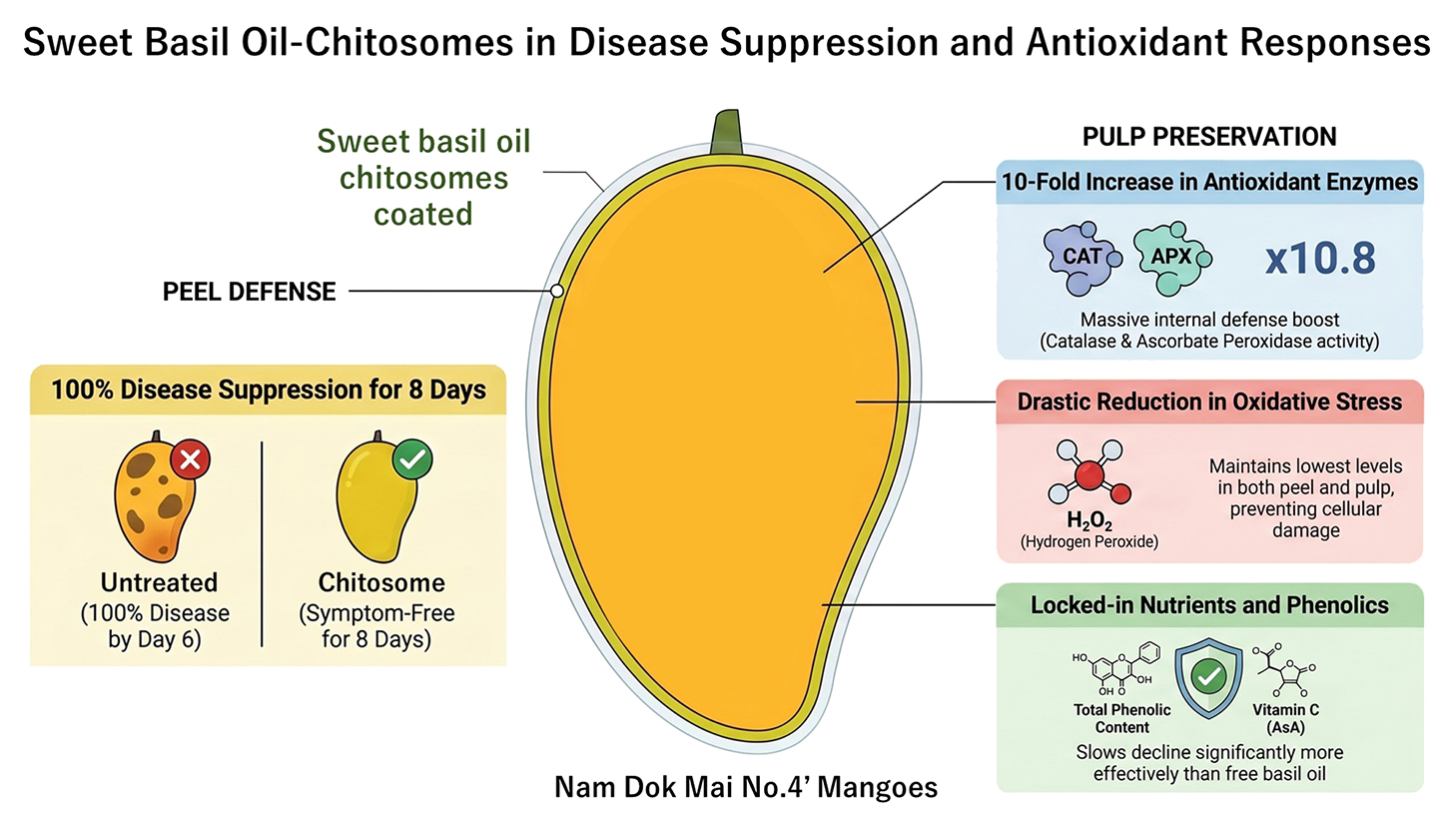 Efficacy of Sweet Basil Oil-chitosomes in Disease Suppression and Antioxidant (Enzymatic and Non-enzymatic) Responses in ‘Nam Dok Mai No. 4’ Mangoes during Shelf Life
